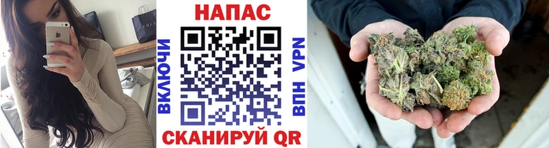 где найти   Видное  Бошки Шишки гибрид 